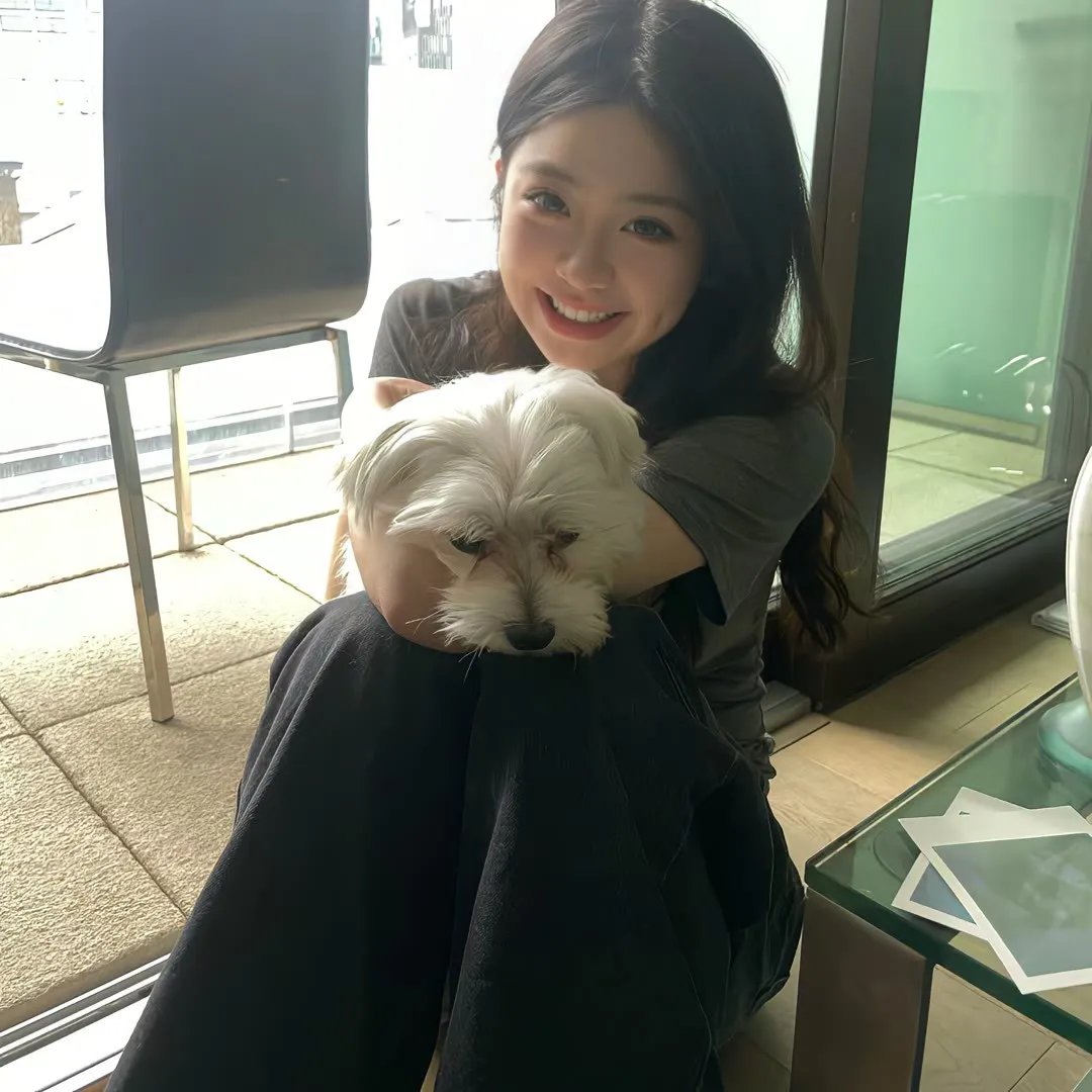 横冲直撞好莱坞