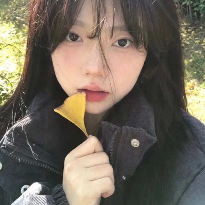 你好安妮